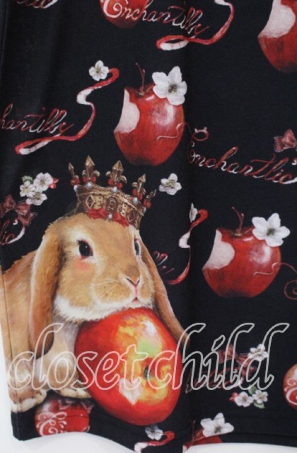 画像2: Enchantlic Enchantilly / 午後3時のクイーンバニーカットソーワンピース  クロ×アカ O-25-09-20-113-LO-OP-OW-OS (2)