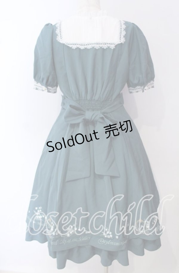 画像8: Amavel / ネモフィラとスズランのケープワンピース F グリーン O-25-09-23-094-CA-OP-OW-OS (8)