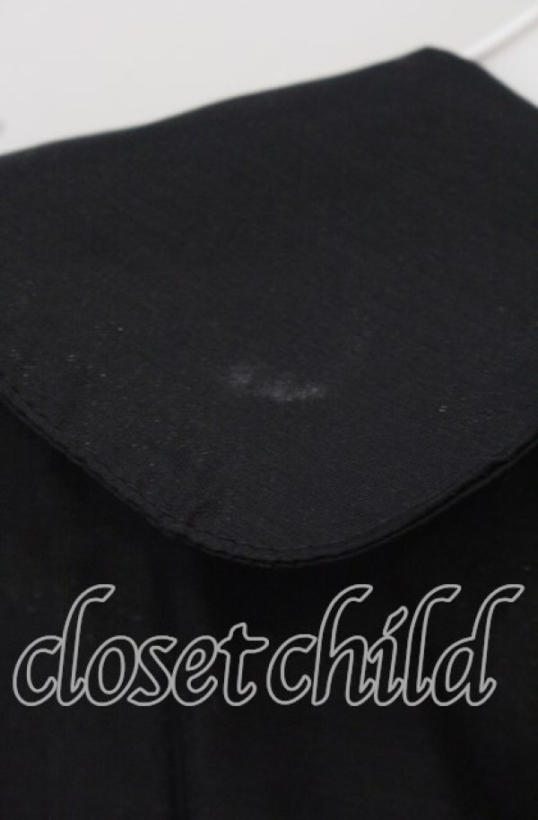 画像4: Swankiss / オーガンジーワンピース F クロ O-25-10-04-073-CA-OP-OW-ZT057 (4)