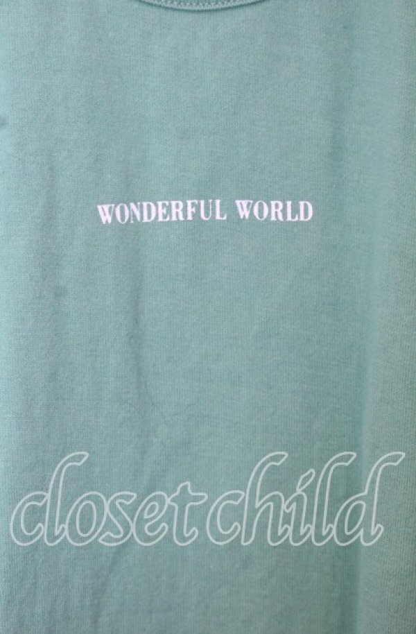 画像2: WONDERFUL WORLD / ロゴプリントTシャツ  グリーン O-25-10-10-078-LO-TS-IG-ZT054 (2)