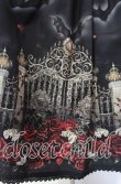 画像2: Enchantlic Enchantilly / 幻影薔薇城〜コウモリ公爵からの招待状〜スカート  赤い夜 O-25-10-11-010-LO-SK-IG-OS (2)