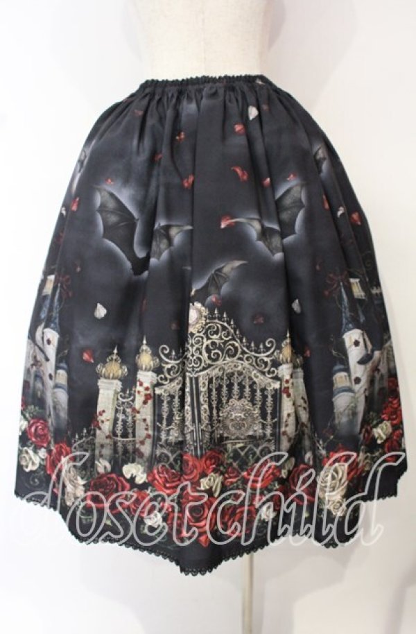 画像4: Enchantlic Enchantilly / 幻影薔薇城〜コウモリ公爵からの招待状〜スカート  赤い夜 O-25-10-11-010-LO-SK-IG-OS (4)