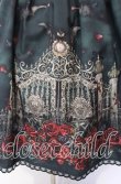 画像2: Enchantlic Enchantilly / 幻影薔薇城〜コウモリ公爵からの招待状〜スカート  緑の夜 O-25-10-11-011-LO-SK-IG-OS (2)