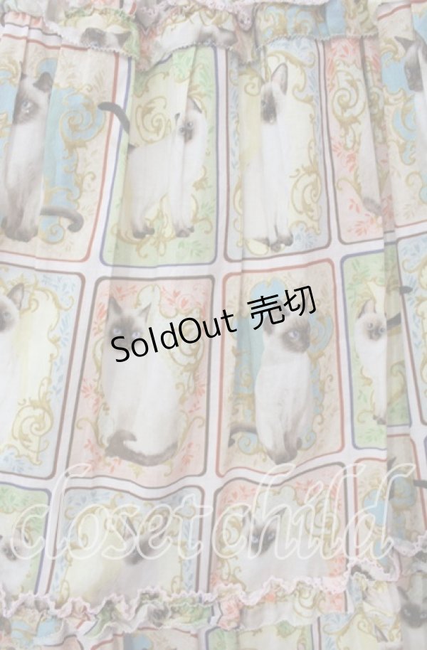 画像2: alcali / シャムカドレptフリルギャザースカート  ピンク O-25-10-14-100-LO-SK-OW-OS (2)