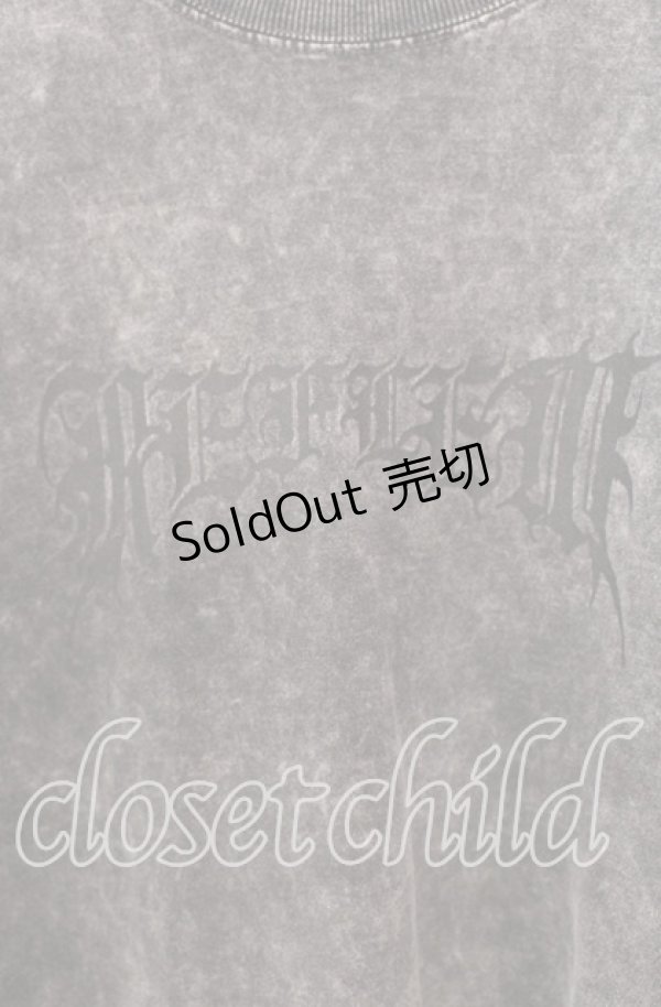 画像2: REFLEM / クロスプリントロンT F グレー（ピグメント） O-25-10-23-049-PU-TO-OW-ZS (2)