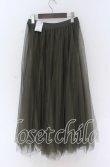 画像2: axes femme / ロングチュールスカート  グリーン O-25-10-29-126-AX-SK-IG-OS (2)