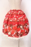 画像4: BABY,THE STARS SHINE BRIGHT / Creamy Berry Fairy Dreamスカート  アカ O-25-10-30-019-BA-SK-OW-OS (4)