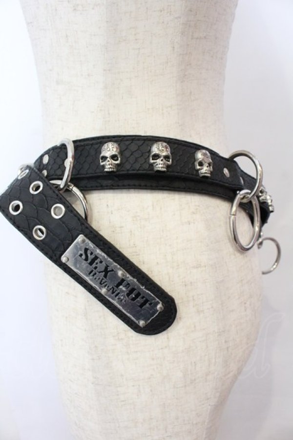 画像2: SEX POT ReVeNGe / スカルスタッズベルト  ブラック×シルバー O-25-10-31-2043-SP-ZA-IG-OS (2)