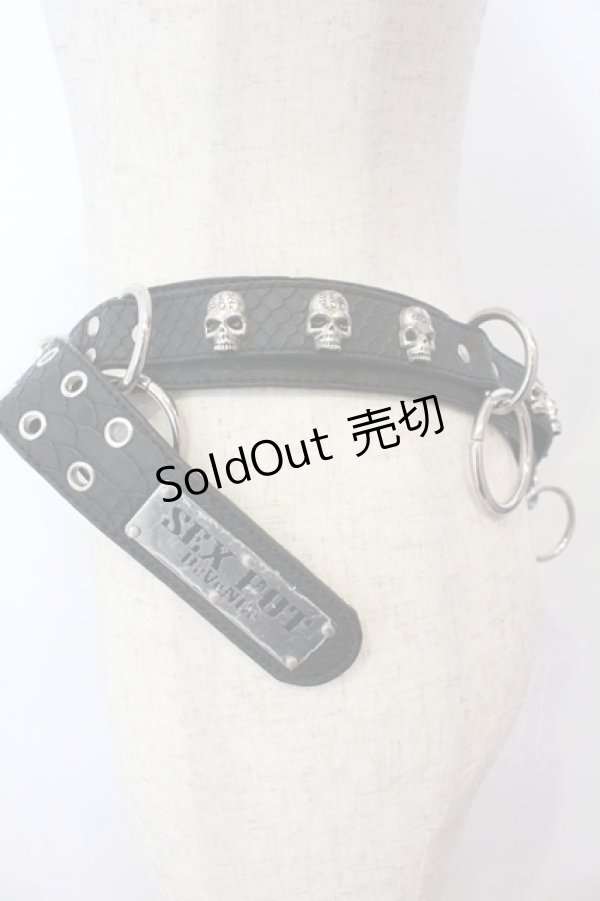 画像2: SEX POT ReVeNGe / スカルスタッズベルト  ブラック×シルバー O-25-10-31-2043-SP-ZA-IG-OS (2)