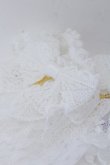 画像2: Angelic Pretty / Twinkleロングレース手袋  シロ O-25-10-31-2075-AP-ZA-OW-OS (2)
