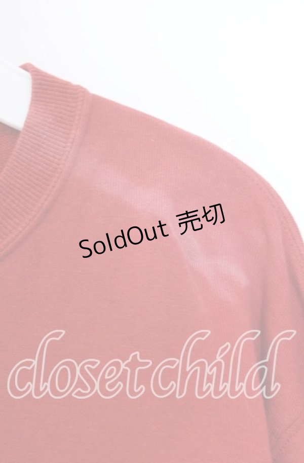 画像3: PINK HOUSE / ラビットプリントカットソー L アカ O-25-10-31-029-LO-TO-IG-OS (3)