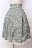 画像1: Victorian maiden / カントリーハイウエストスカート  ライトグリーン O-25-11-04-045-CL-SK-IG-OS (1)