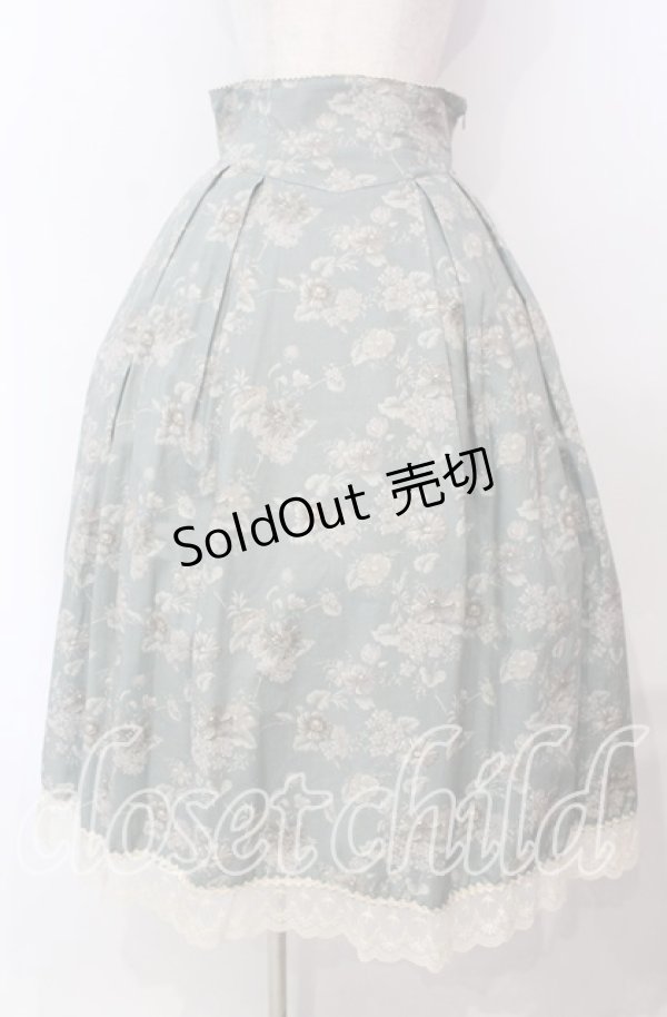 画像1: Victorian maiden / カントリーハイウエストスカート  ライトグリーン O-25-11-04-045-CL-SK-IG-OS (1)