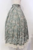 画像3: Victorian maiden / カントリーハイウエストスカート  ライトグリーン O-25-11-04-045-CL-SK-IG-OS (3)