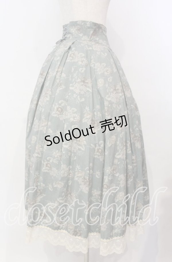 画像3: Victorian maiden / カントリーハイウエストスカート  ライトグリーン O-25-11-04-045-CL-SK-IG-OS (3)