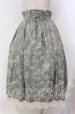 画像4: Victorian maiden / カントリーハイウエストスカート  ライトグリーン O-25-11-04-045-CL-SK-IG-OS (4)