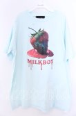 画像1: MILKBOY / BERRY TEE　Tシャツ  ミント O-25-11-07-034-MB-TS-IG-ZT333 (1)