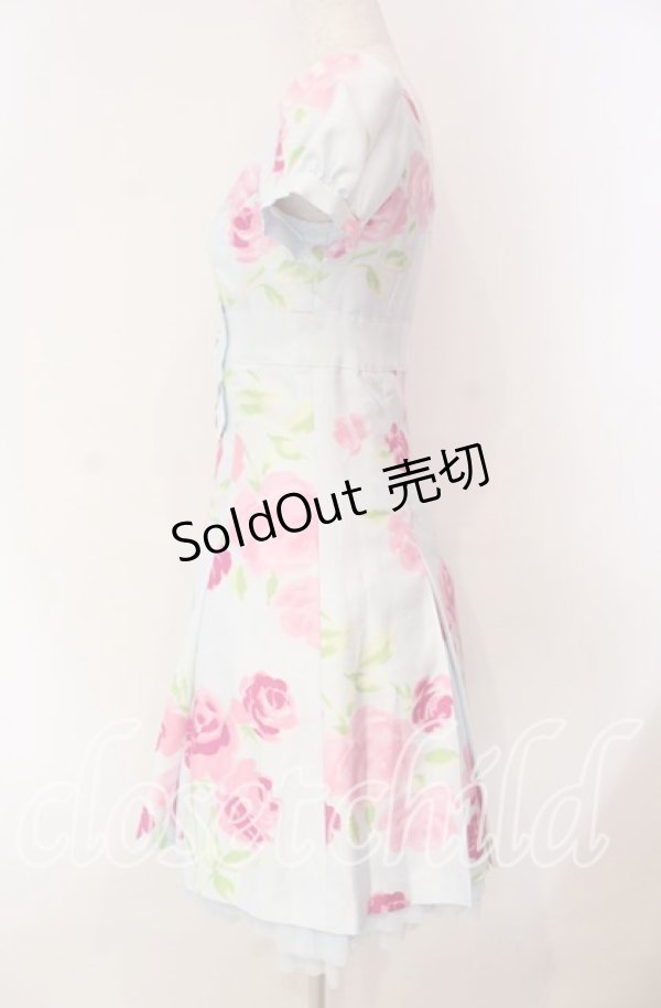 画像3: JESUS DIAMANTE / 小悪魔ワンピース 38 プリンセスJAPONローズ柄 サックス O-25-11-08-026-JE-OP-IG-OS (3)