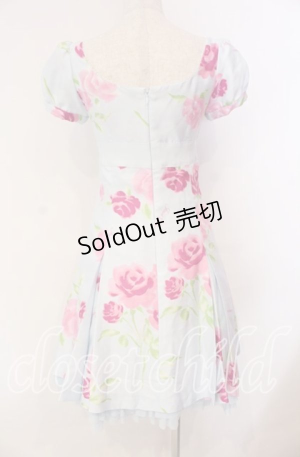 画像4: JESUS DIAMANTE / 小悪魔ワンピース 38 プリンセスJAPONローズ柄 サックス O-25-11-08-026-JE-OP-IG-OS (4)