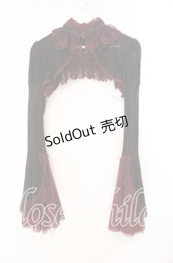 画像1: abilletage / Noirレースボレロ  ワイン×ブラック O-25-11-10-041-GO-TO-OW-OS (1)