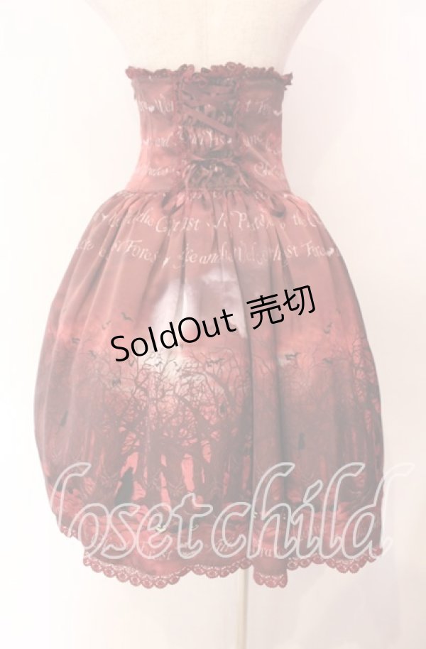 画像5: ALICE and the PIRATES / The Night of Ghost Forestスカート  エンジ O-25-11-11-009-PA-SK-OW-OS (5)