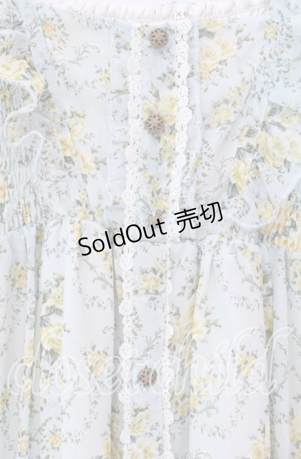 画像2: axes femme / 釦開き総バラ柄ロングワンピース  サックス O-25-11-17-049-AX-OP-IG-OS (2)