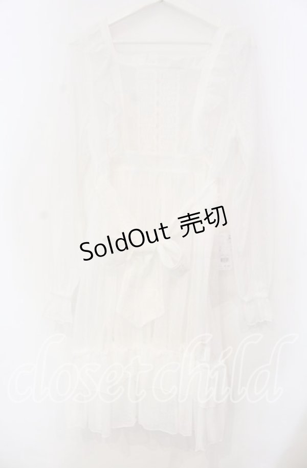 画像1: Chalmiere / ドットチュールガウン M シロ O-25-11-18-031-LO-OP-OW-OS (1)