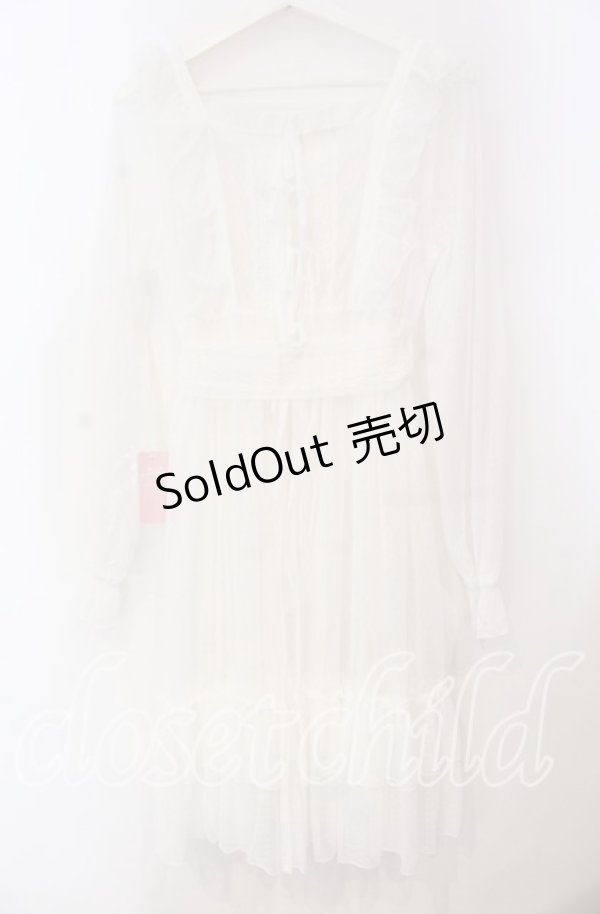 画像4: Chalmiere / ドットチュールガウン M シロ O-25-11-18-031-LO-OP-OW-OS (4)