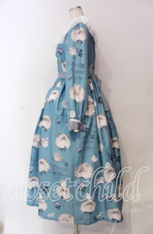 画像4: Royal Princess Alice / 毛繕い下手猫ちゃん・ねこ助コラボ・ワンピース  サックス O-25-11-27-004-LO-OP-IG-OS (4)