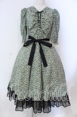 画像: Victorian maiden / Paris Daisy レディドレス  クロ O-25-11-27-002-CL-OP-IG-OS