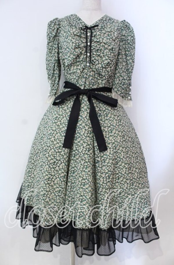 画像1: Victorian maiden / Paris Daisy レディドレス  クロ O-25-11-27-002-CL-OP-IG-OS (1)