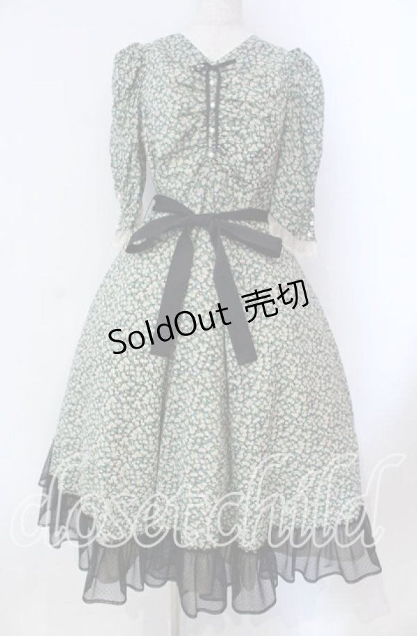 画像1: Victorian maiden / Paris Daisy レディドレス  クロ O-25-11-27-002-CL-OP-IG-OS (1)