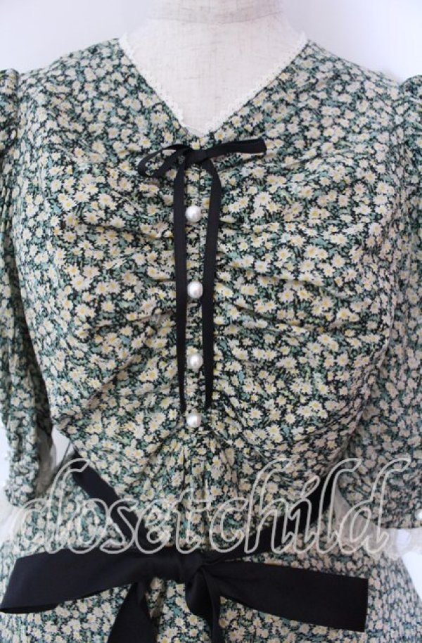 画像2: Victorian maiden / Paris Daisy レディドレス  クロ O-25-11-27-002-CL-OP-IG-OS (2)