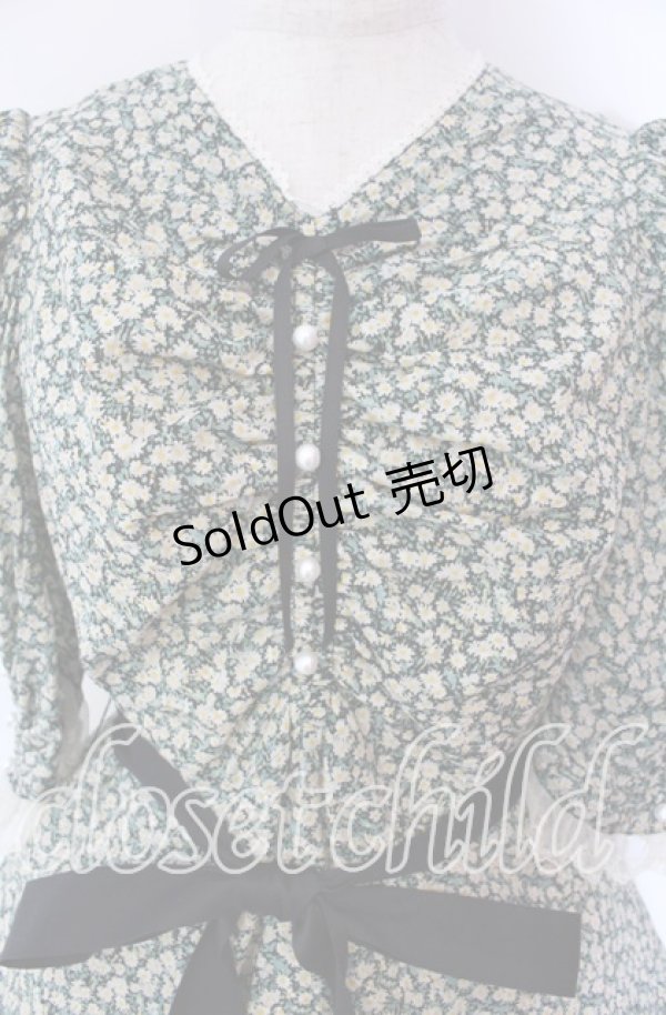 画像2: Victorian maiden / Paris Daisy レディドレス  クロ O-25-11-27-002-CL-OP-IG-OS (2)