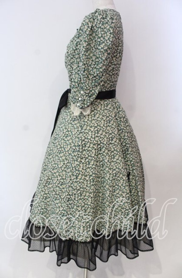 画像3: Victorian maiden / Paris Daisy レディドレス  クロ O-25-11-27-002-CL-OP-IG-OS (3)