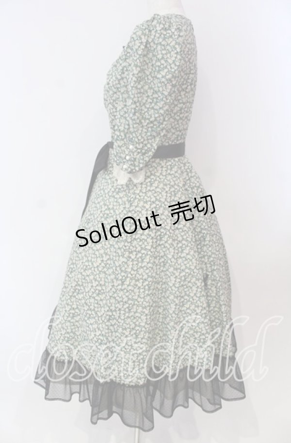 画像3: Victorian maiden / Paris Daisy レディドレス  クロ O-25-11-27-002-CL-OP-IG-OS (3)