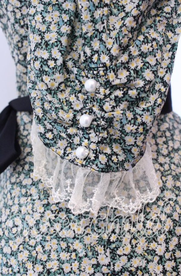 画像4: Victorian maiden / Paris Daisy レディドレス  クロ O-25-11-27-002-CL-OP-IG-OS (4)