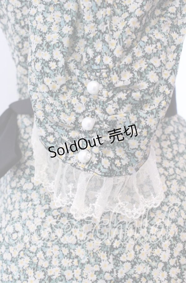 画像4: Victorian maiden / Paris Daisy レディドレス  クロ O-25-11-27-002-CL-OP-IG-OS (4)