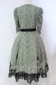 画像5: Victorian maiden / Paris Daisy レディドレス  クロ O-25-11-27-002-CL-OP-IG-OS (5)