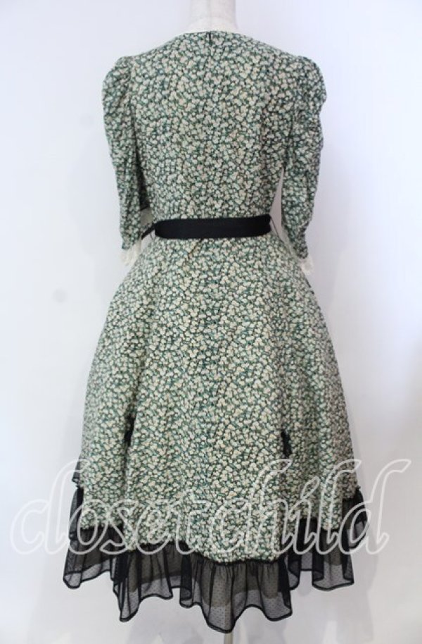 画像5: Victorian maiden / Paris Daisy レディドレス  クロ O-25-11-27-002-CL-OP-IG-OS (5)