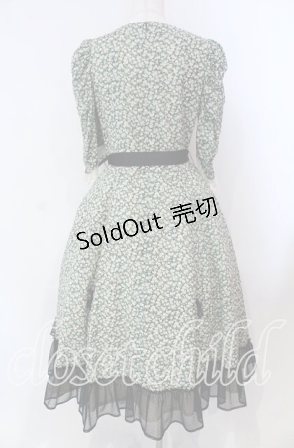 画像5: Victorian maiden / Paris Daisy レディドレス  クロ O-25-11-27-002-CL-OP-IG-OS (5)