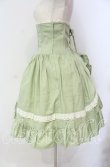 画像3: ALICE and the PIRATES / ロザリープリンセスコルセットスカート  若草 O-25-12-02-041-PA-SK-IG-OS (3)