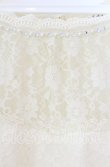 画像2: axes femme / 総レースビスチェ切替プルオーバー  アイボリー O-25-12-02-008-AX-TO-IG-OS (2)