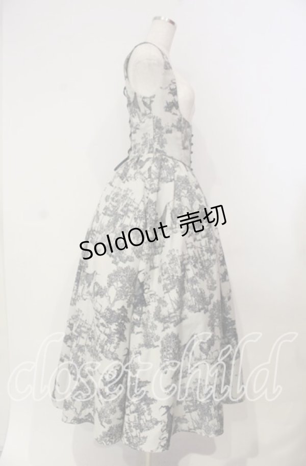 画像3: LOLITAその他 / トワルドジュイジャンパースカート S ブルー O-25-12-04-063-LO-OP-OW-OS (3)