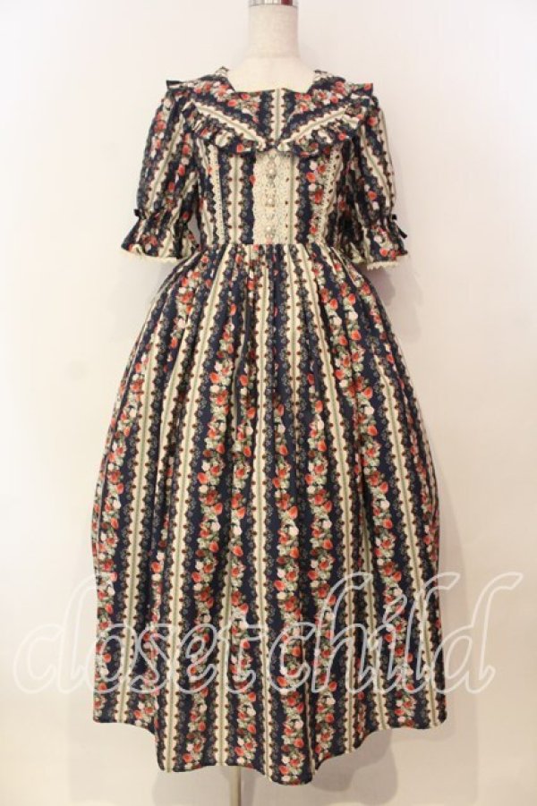 画像1: axes femme kawaii / ローズベリーガーデンワンピース  ネイビー O-25-12-15-045-AX-OP-IG-OS (1)