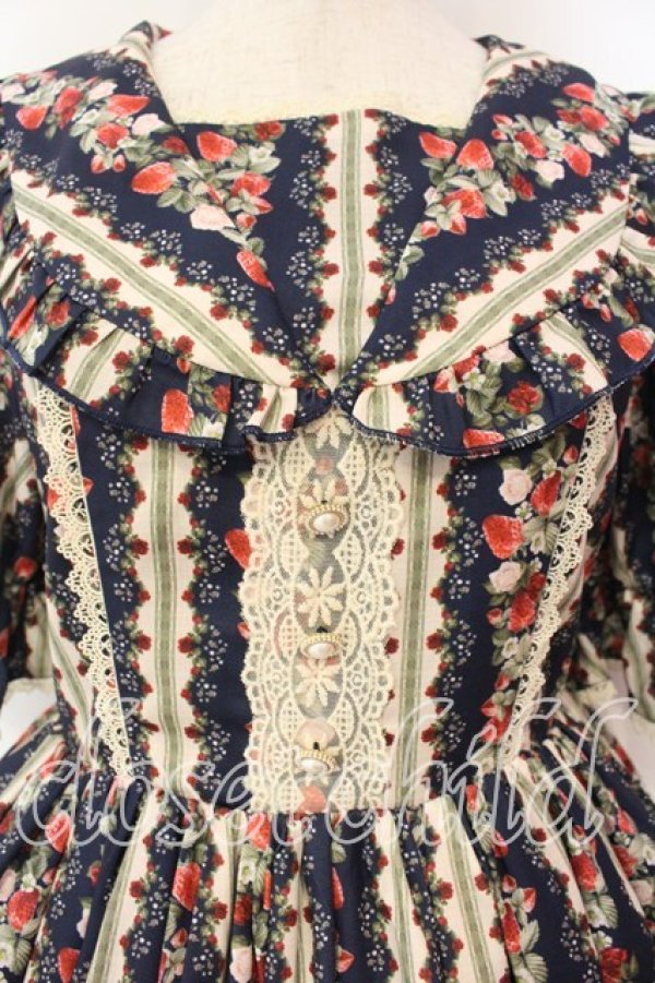 画像2: axes femme kawaii / ローズベリーガーデンワンピース  ネイビー O-25-12-15-045-AX-OP-IG-OS (2)