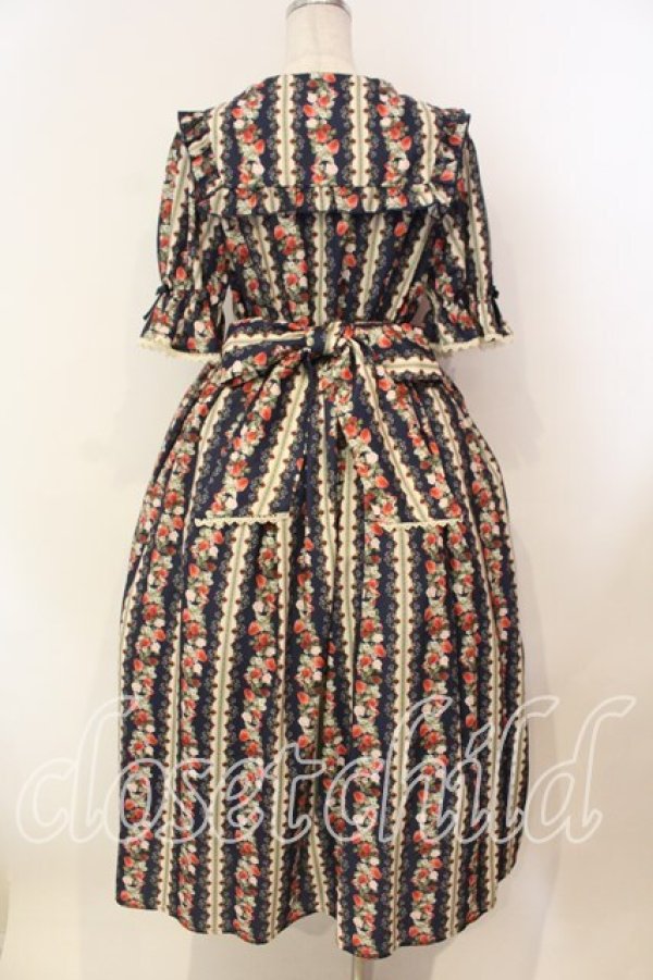 画像4: axes femme kawaii / ローズベリーガーデンワンピース  ネイビー O-25-12-15-045-AX-OP-IG-OS (4)