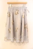 画像1: axes femme / ローズ刺繍チュールスカート  グレー O-25-12-22-071-AX-SK-IG-OS (1)