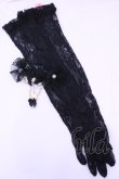 画像1: Angelic Pretty / レーシィロングレース手袋  クロ O-25-12-25-1038-AP-AC-IG-OS (1)