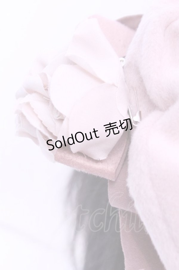 画像4: Mary Magdalene / アマンディーヌベレー  ローズ O-25-12-25-1003-CL-AC-IG-OS (4)